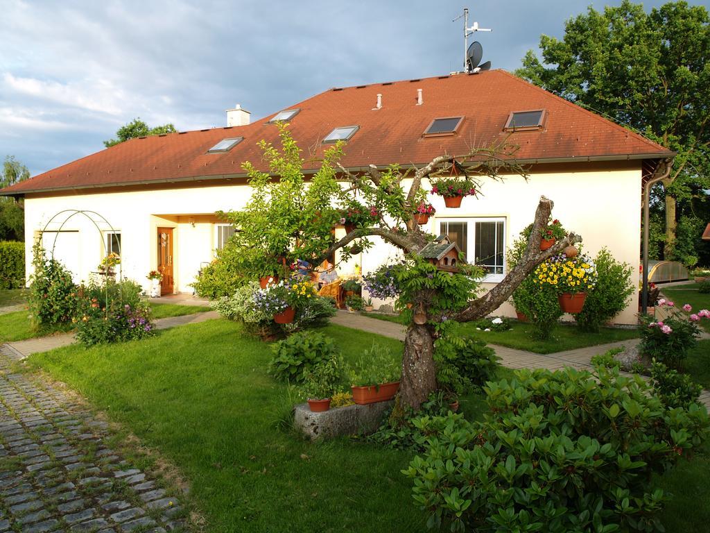 Ubytovani Poustka Apartment Frantiskovy Lazne Exterior photo